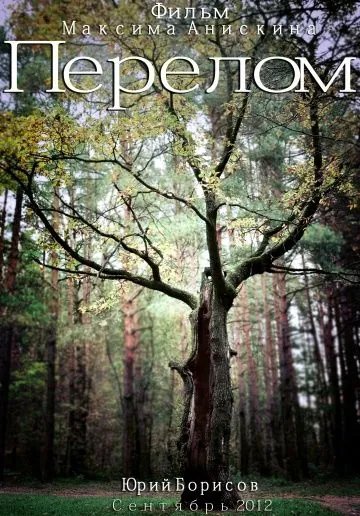 Постер: Перелом (2012)