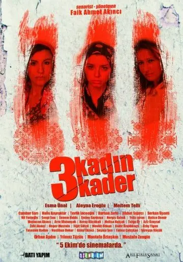 Постер: 3 женщины 3 судьбы / 3 Kadin 3 Kader (2013)