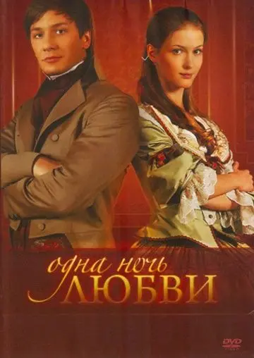 Постер: Одна ночь любви (2008)