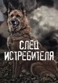 Постер: След Истребителя (2015)