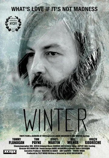 Постер: Зима / Winter (2015)