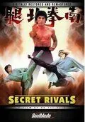 Постер: Тайные соперники / Nan quan bei tui (1976)