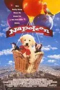 Постер: Наполеон / Napoleon (1995)