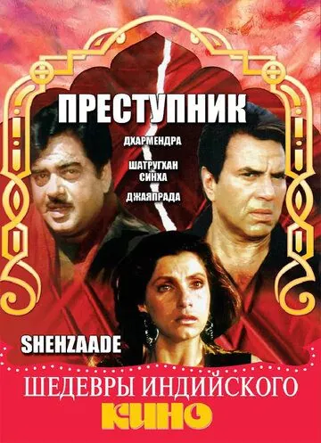 Постер: Преступник / Shehzaade (1989)
