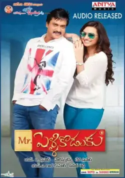 Постер: Мистер Жених / Mr. Pellikodukku (2013)