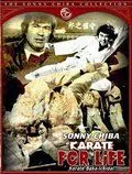 Постер: Обреченный на одиночество 3 / Karate baka ichidai (1977)