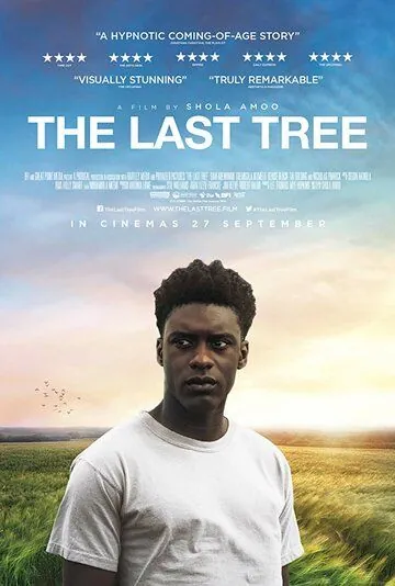 Постер: Последнее дерево / The Last Tree (2019)