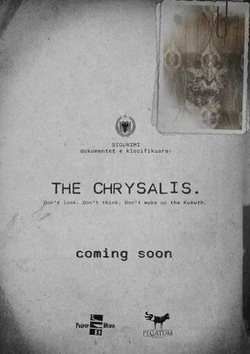 Постер: Дело Энвера Симаку / The Invocation of Enver Simaku (2018)