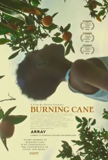 Постер: Горящий тростник / Burning Cane (2019)