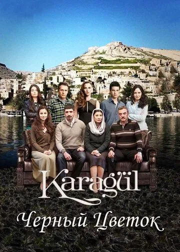 Постер: Черный цветок / Karagül (2013)