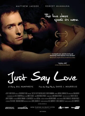 Постер: Только скажи... люблю / Just Say Love (2009)