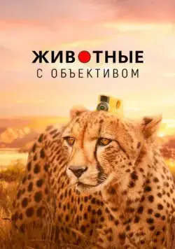 Постер: Животные с объективом / Animals with Cameras (2018)
