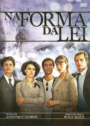Постер: В форме закона / Na Forma da Lei (2010)