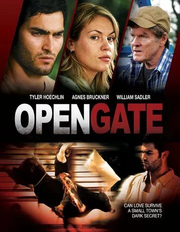 Постер: Открытые ворота / Open Gate (2011)