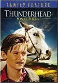 Постер: Грозовая туча – сын Флики / Thunderhead - Son of Flicka (1945)