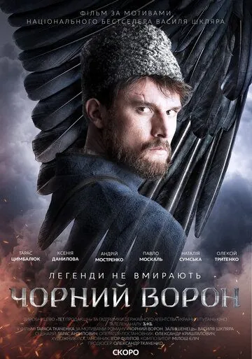 Постер: Чёрный ворон (2019)