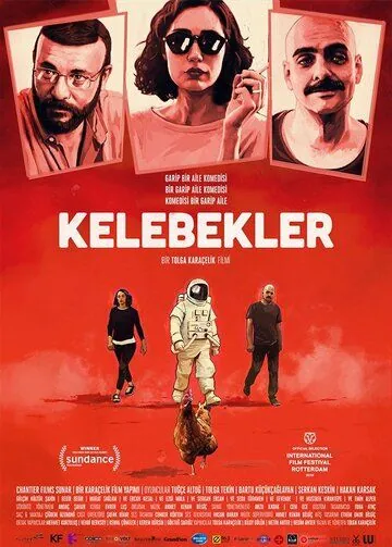 Постер: Бабочки / Kelebekler (2018)