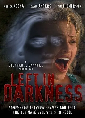 Постер: Забытая во тьме / Left in Darkness (2006)