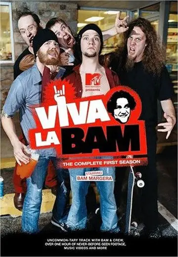 Постер: Вива ля Бэм / Viva la Bam (2003)