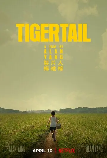 Постер: Хвост тигра / Tigertail (2020)
