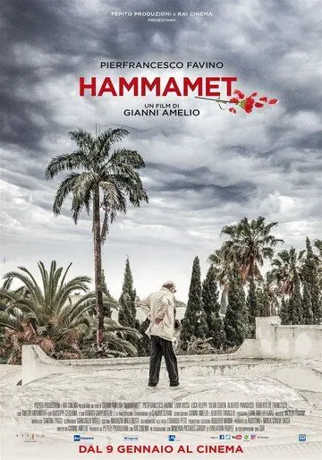 Постер: Хаммамет / Hammamet (2020)