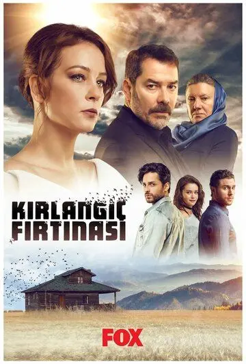 Постер: Шторм ласточки / Kirlangiç Firtinasi (2017)