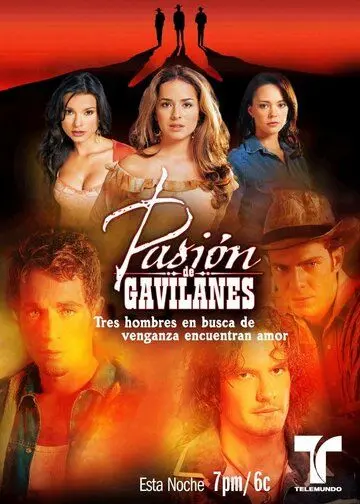 Постер: Тайная страсть / Pasion de gavilanes (2003)