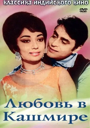 Постер: Любовь в Кашмире / Arzoo (1969)