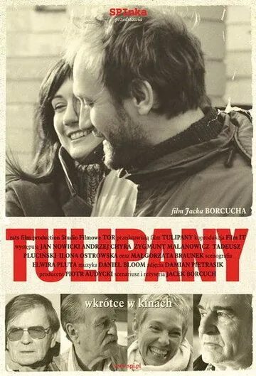 Постер: Тюльпаны / Tulipany (2004)