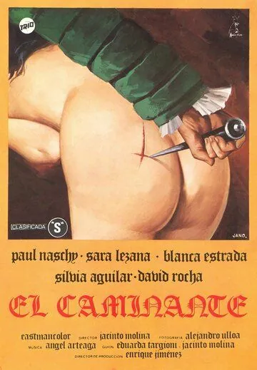 Постер: Странник / El caminante (1979)