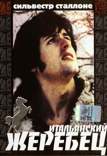 Постер: Итальянский жеребец / The Party at Kitty and Stud's (1970)