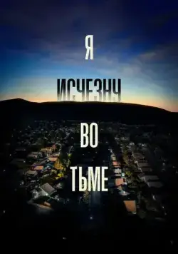 Постер: Я исчезну во тьме / I'll Be Gone in the Dark (2020)
