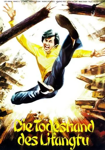 Постер: Каратисты в Стамбуле (1974)