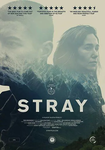 Постер: Заблудшие / Stray (2018)