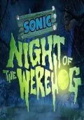 Постер: Соник: Ночь ежа-оборотня / Sonic: Night of the Werehog (2008)