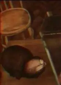 Постер: Лень (1979)