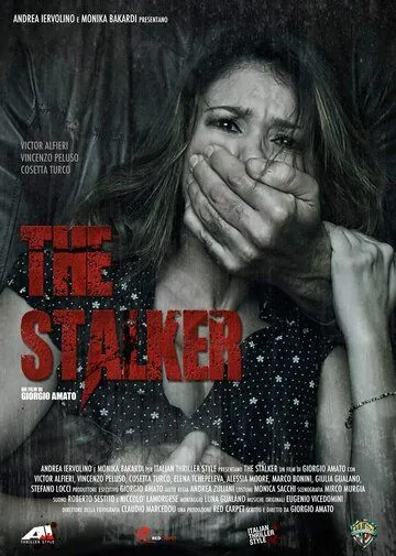 Постер: Сталкер / The Stalker (2013)