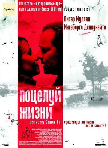 Постер: Поцелуй жизни / Kiss of Life (2003)