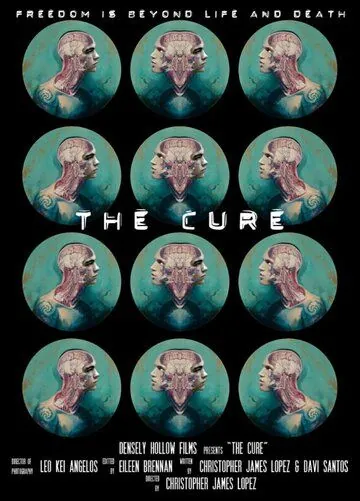 Постер: Маска / The Cure (2012)