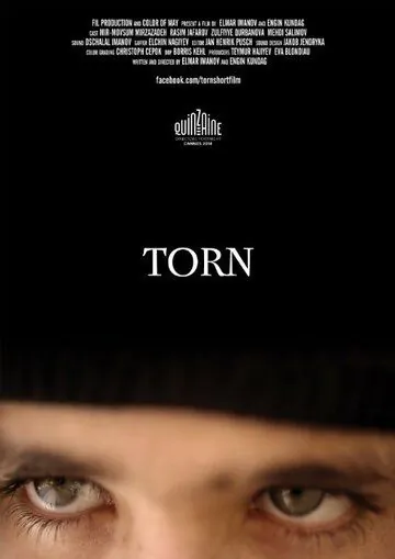 Постер: Врозь / Torn (2014)