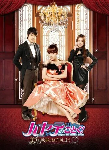 Постер: Хаятэ, боевой дворецкий / Xuan feng guan jia (2011)