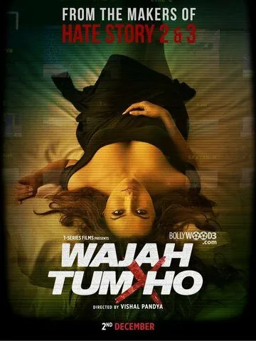 Постер: Ты всему причина / Wajah Tum Ho (2016)