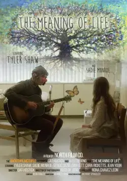 Постер: Смысл жизни / The Meaning of Life (2017)