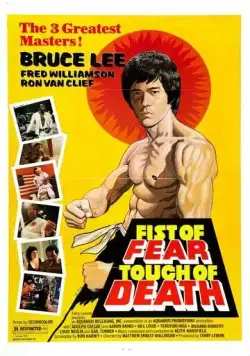 Постер: Касание смерти / Fist of Fear, Touch of Death (1980)