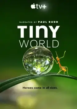 Постер: Крошечный мир / Tiny World (2020)