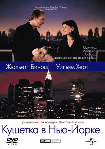 Постер: Кушетка в Нью-Йорке / Un divan à New York (1996)