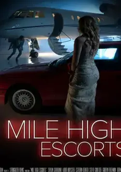 Постер: Эскорт на Высоте / Secrets in the Air (2020)