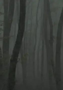 Постер: Убежище 2: ледяная тропа / Katafigio II: The Ice Path (2018)