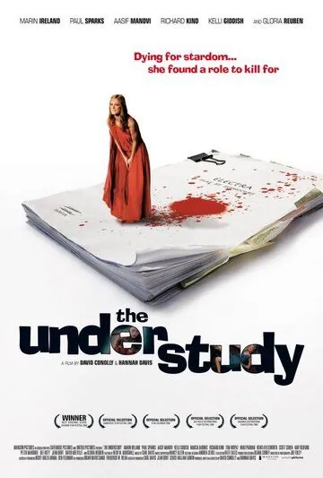 Постер: Дублерша / The Understudy (2008)