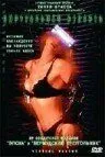 Постер: Виртуальная страсть / Virtual Girl 2: Virtual Vegas (2001)